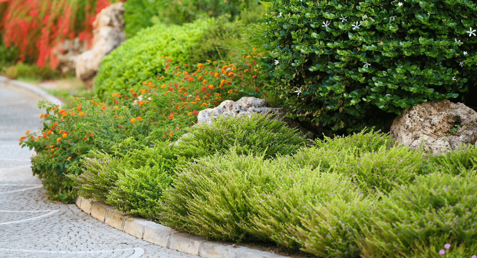 Garden Maintenance